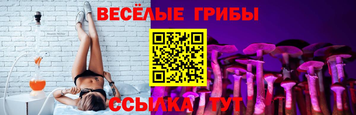 Краснокаменск  Галлюциногенные грибы Magic Shrooms  Вход с VPN 